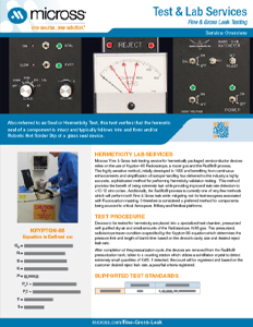 Fine Gross Leak Testing Flyer